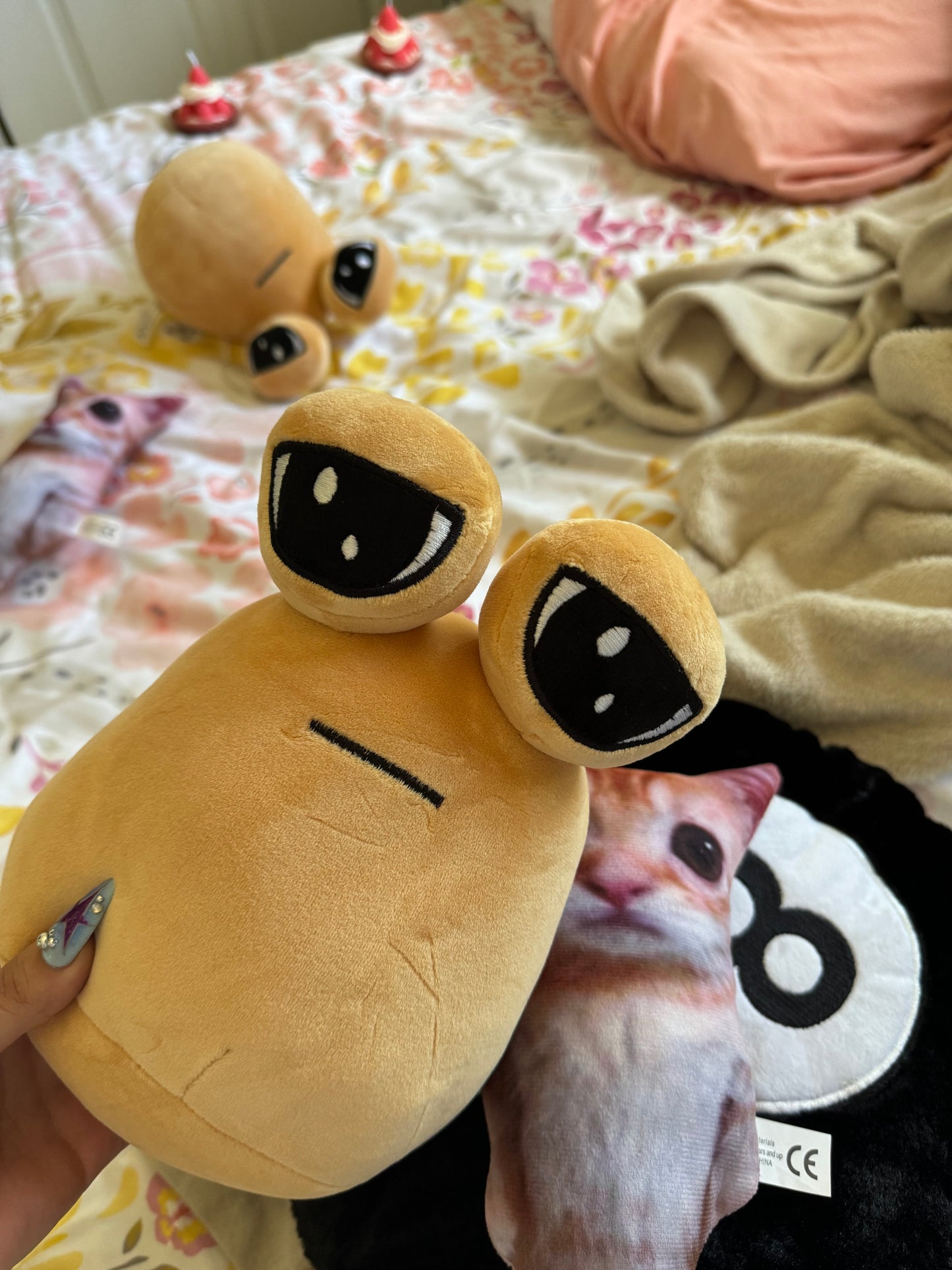 Pou Peluchito