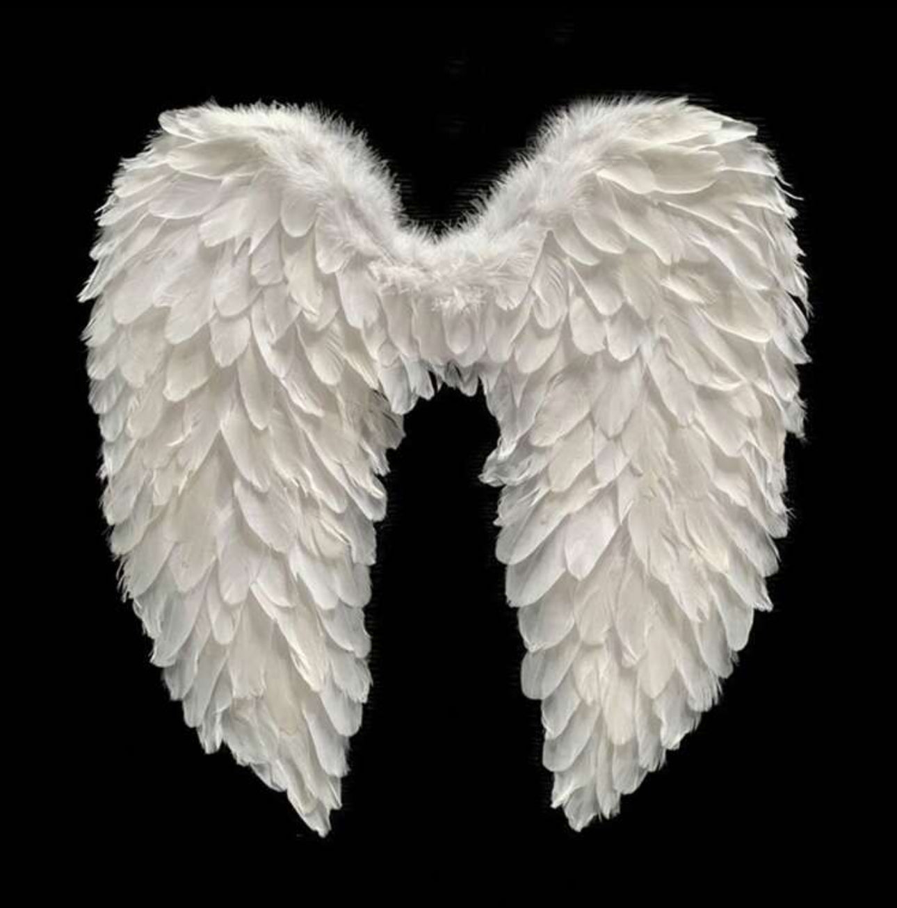 Alas de Angel