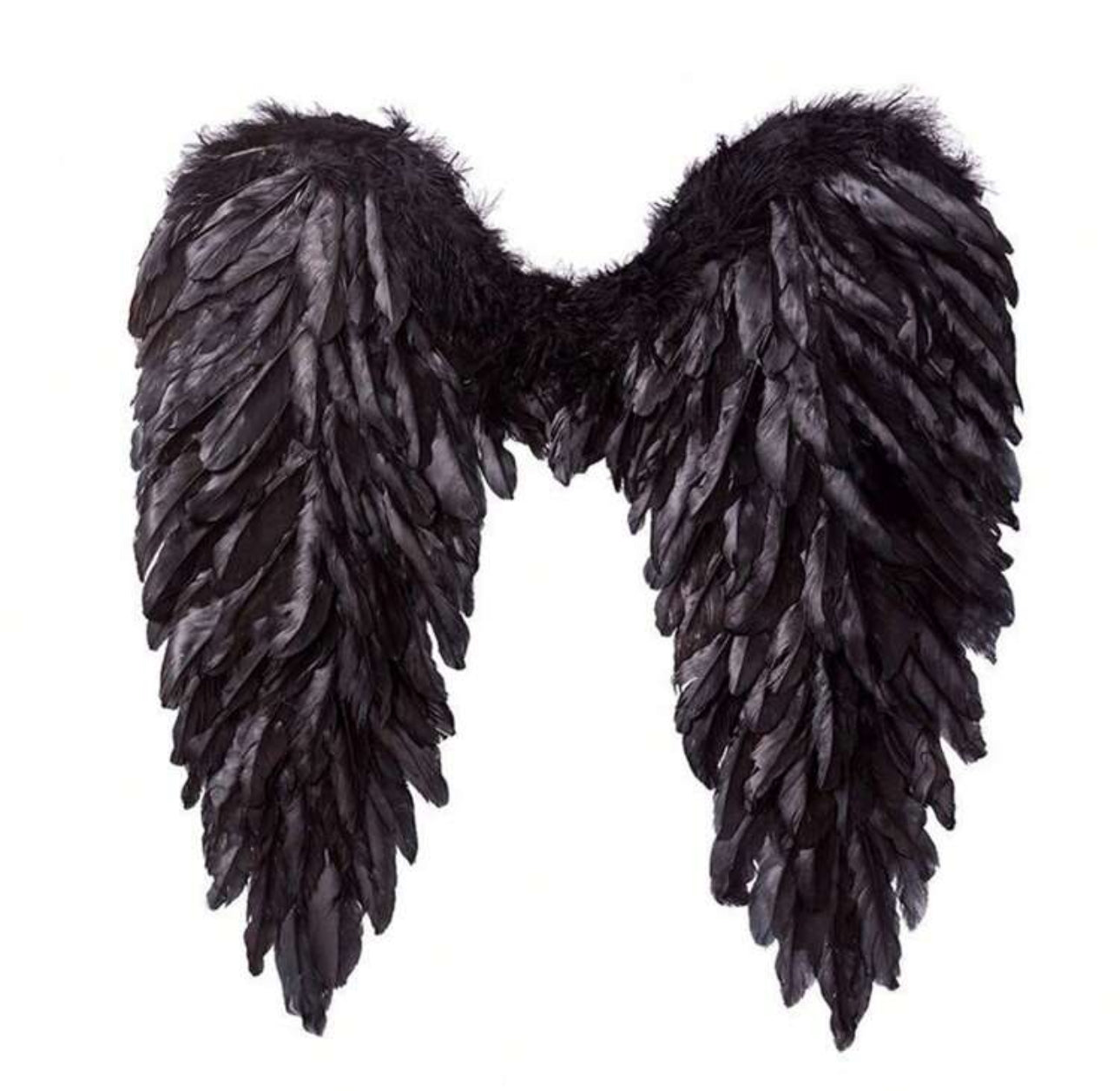 Alas de Angel